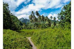 Tahiti