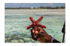 Zanzibar